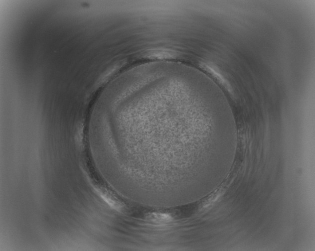 X0000075360159200609151646