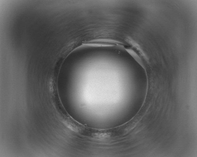 X0000075360161200609151646