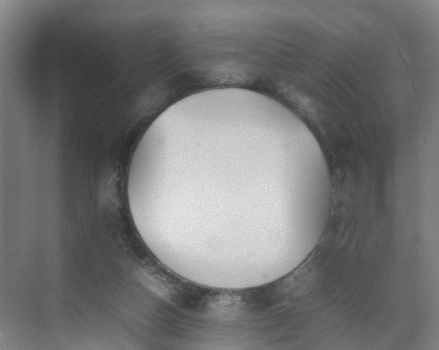 X0000075360162200609151646