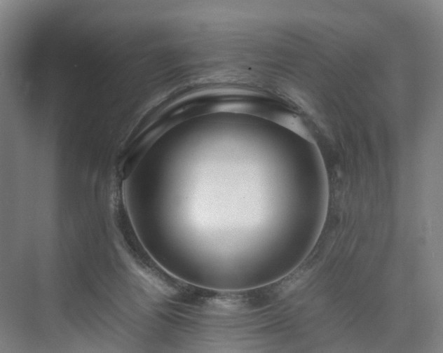 X0000075360164200609151646