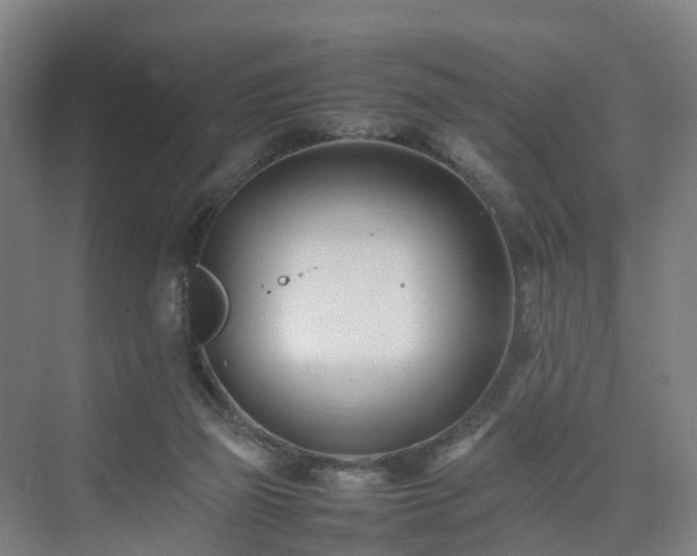 X0000075360165200609151646