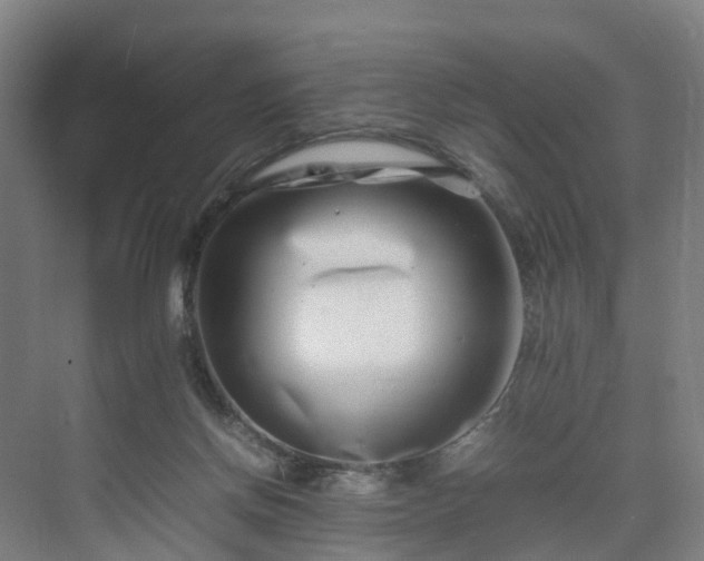 X0000075360166200609151646