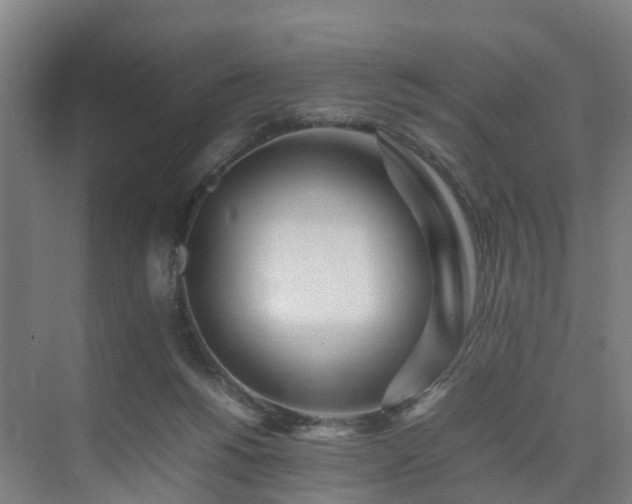 X0000075360168200609151646