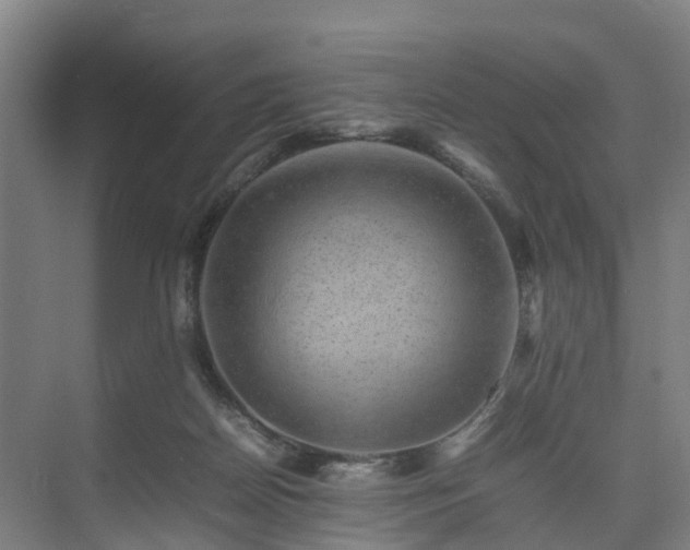 X0000075360170200609151646