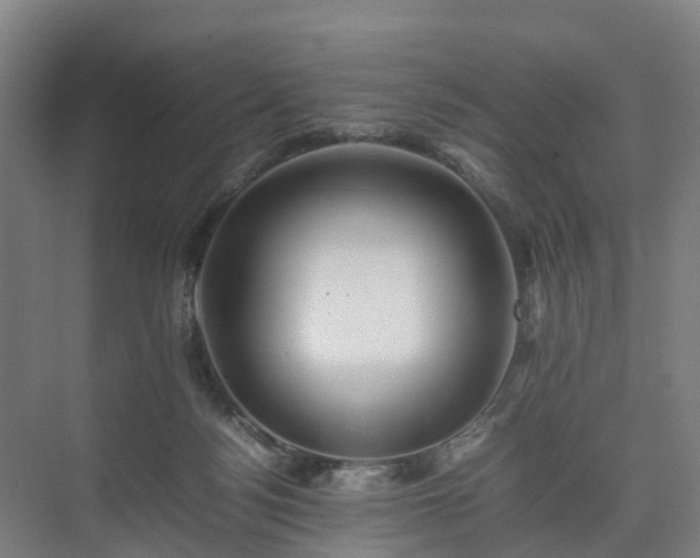 X0000075360172200609151646