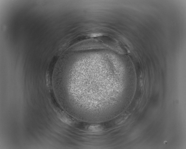 X0000075360173200609151646