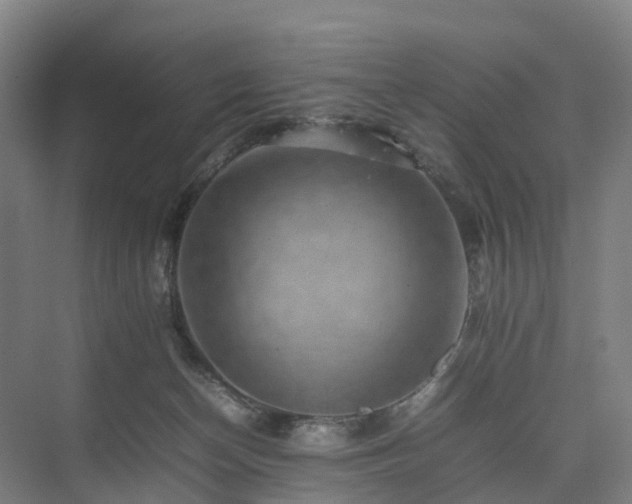 X0000075360174200609151646