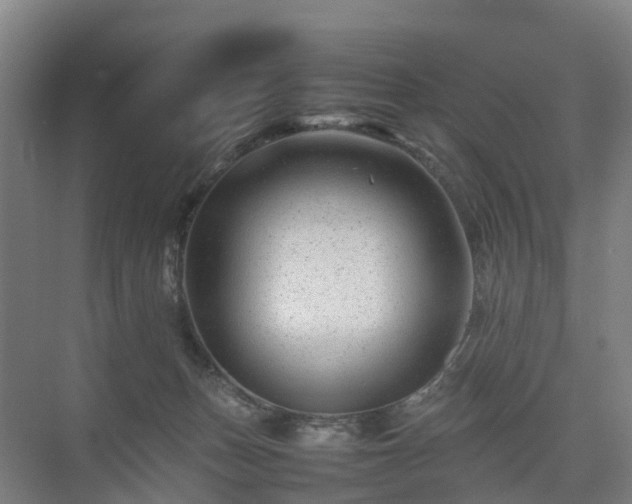 X0000075360175200609151646