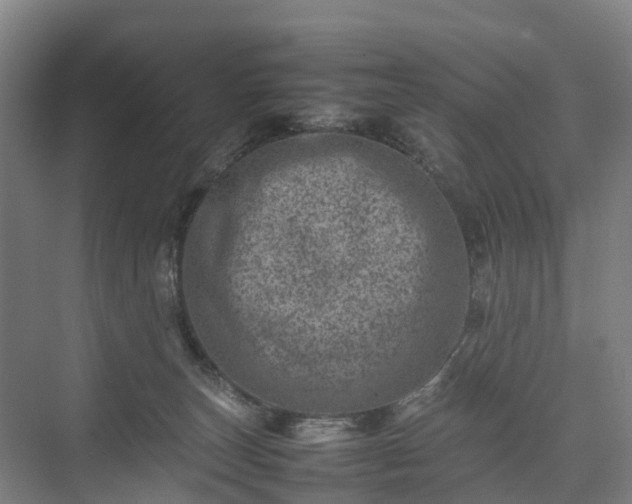 X0000075360179200609151646