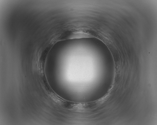 X0000075360182200609151646