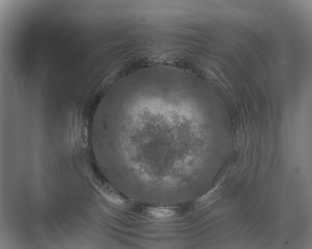 X0000075360183200609151646