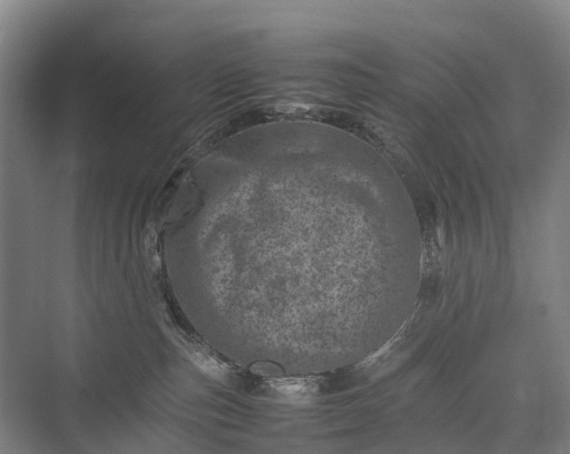 X0000075360187200609151646