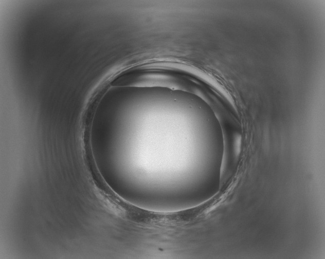 X0000075360197200609151645