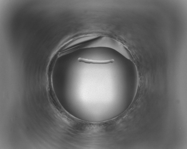 X0000075360198200609151645