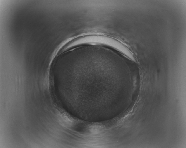 X0000075360200200609151645