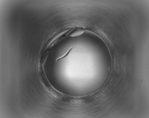 X0000075360202200609151645