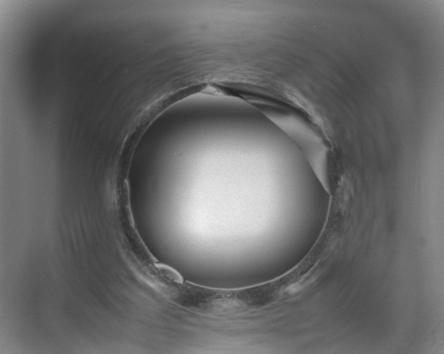 X0000075360203200609151645