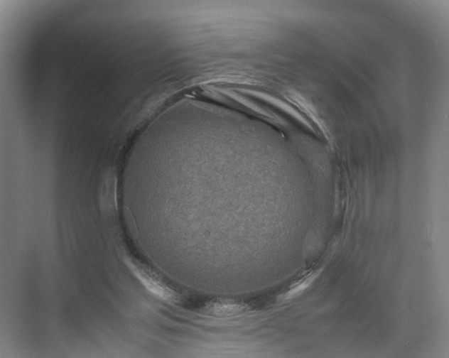 X0000075360205200609151645