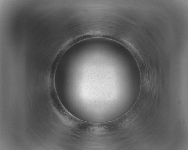 X0000075360208200609151645