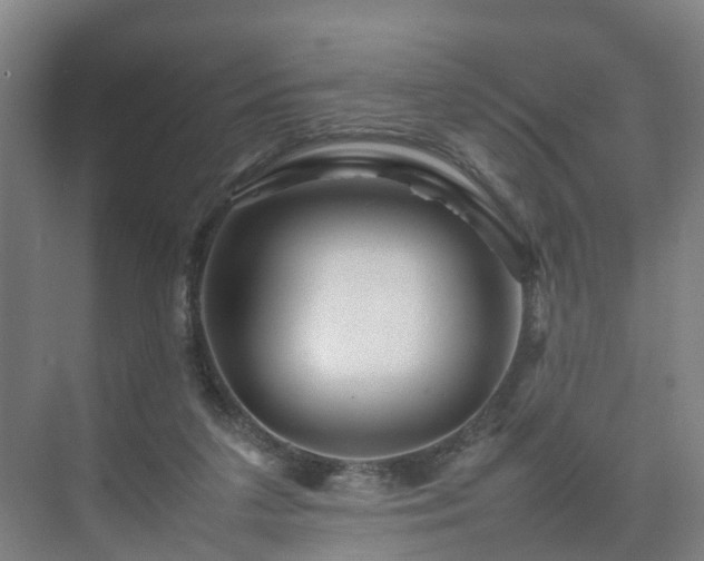 X0000075360211200609151645