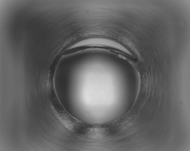 X0000075360212200609151645