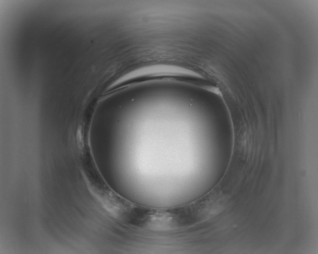 X0000075360214200609151645