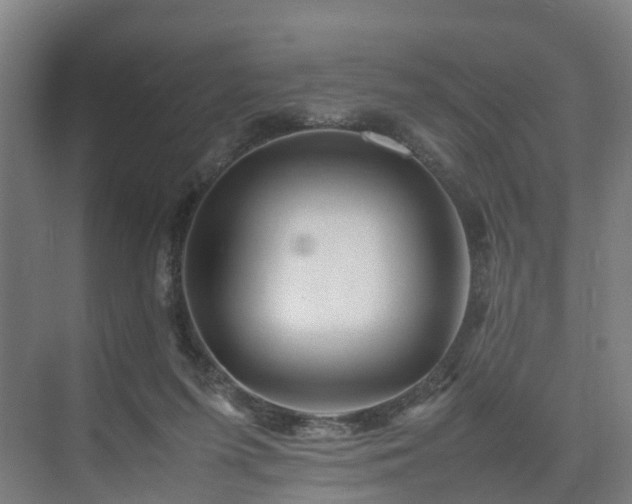 X0000075360215200609151645