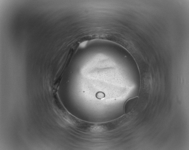 X0000075360218200609151645