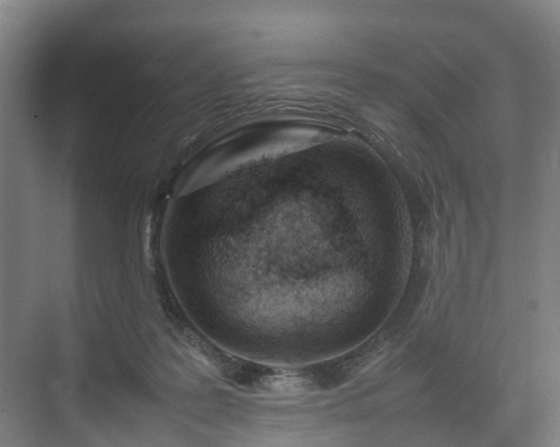 X0000075360219200609151645