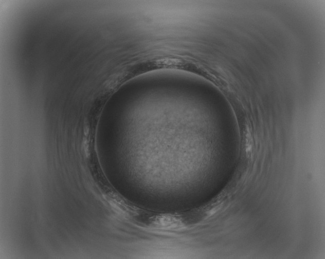 X0000075360223200609151645