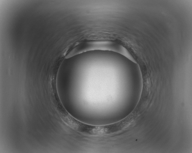 X0000075360225200609151645