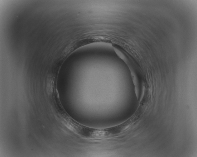 X0000075360227200609151645