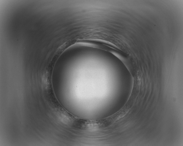 X0000075360228200609151645