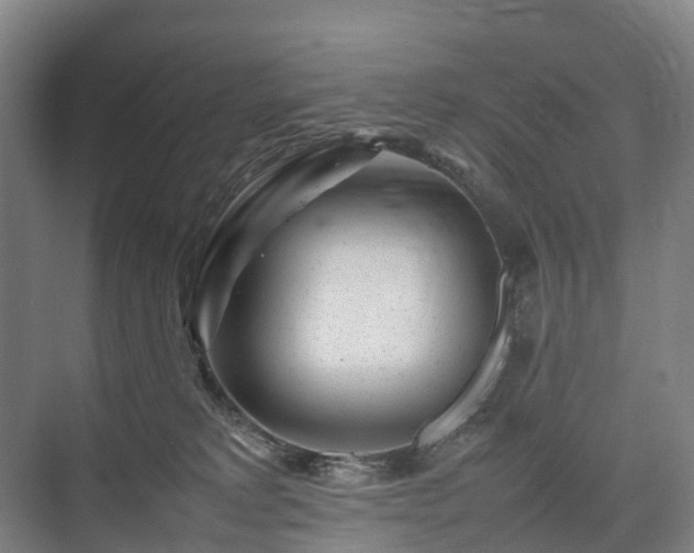 X0000075360229200609151645