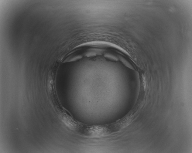 X0000075360235200609151645