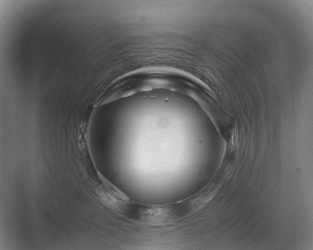 X0000075360237200609151645