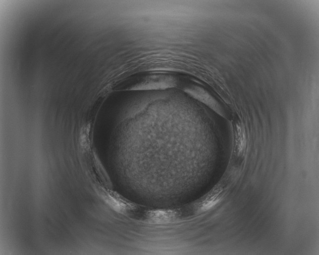 X0000075360239200609151645