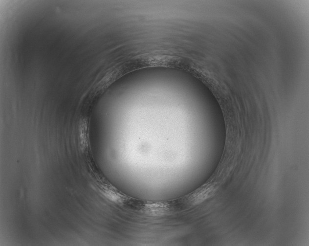 X0000075360240200609151645