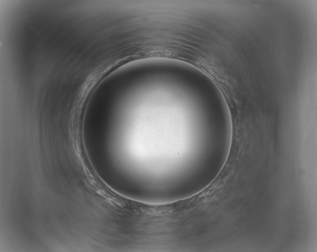 X0000075360241200609151644