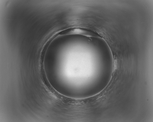 X0000075360243200609151644