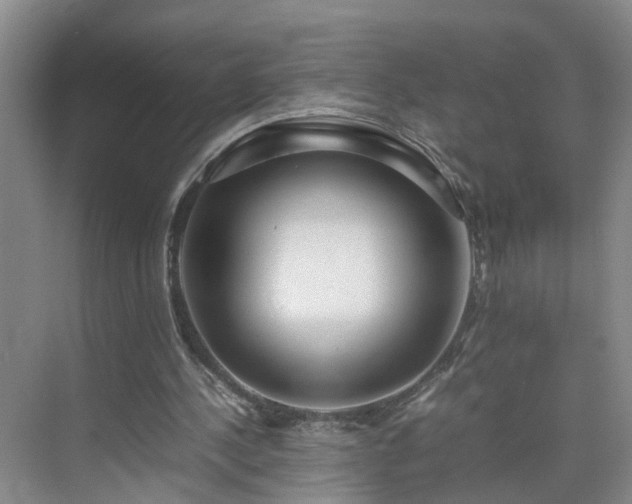 X0000075360244200609151644