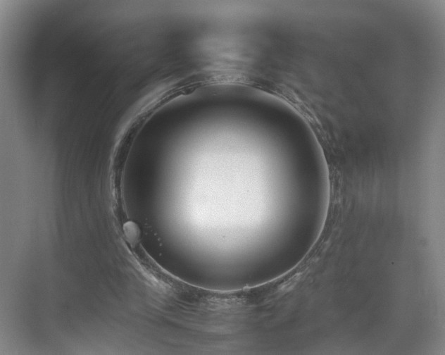 X0000075360245200609151644