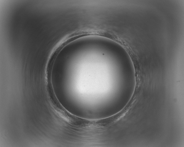 X0000075360246200609151644