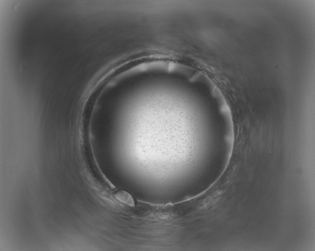 X0000075360247200609151644