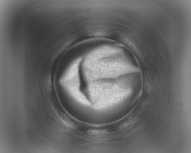 X0000075360251200609151644