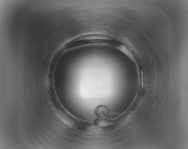 X0000075360252200609151644