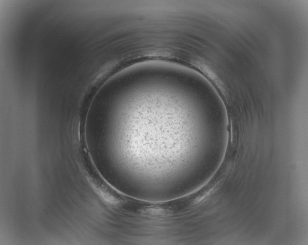 X0000075360253200609151644