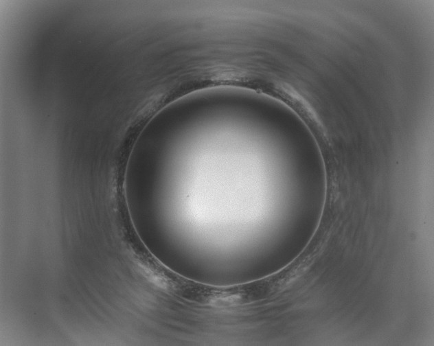 X0000075360257200609151644