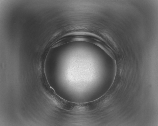 X0000075360260200609151644