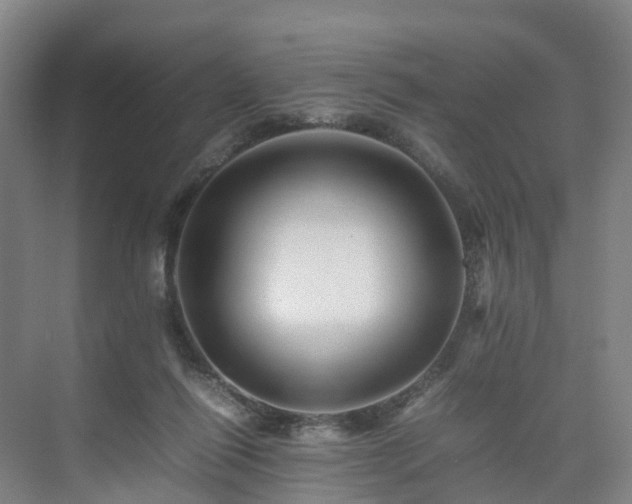 X0000075360262200609151644